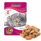 Saszetka Karma mokra dla kota BENEK MIX SMAKÓW 40x100g