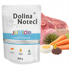 DOLINA NOTECI JUNIOR Karma mokra mix smaku 30 x 300g