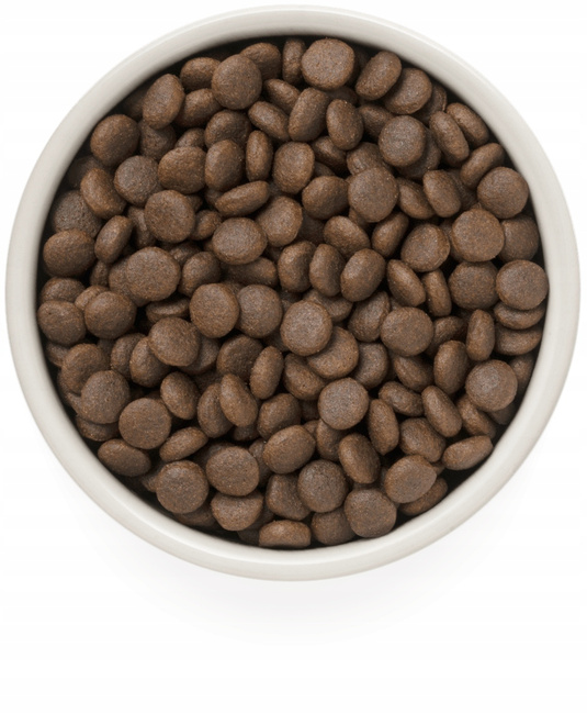 GRANDORF DOG MEDIUM&MAXI ADULT karma sucha dla psa Jagnięcina Indyk 3 kg